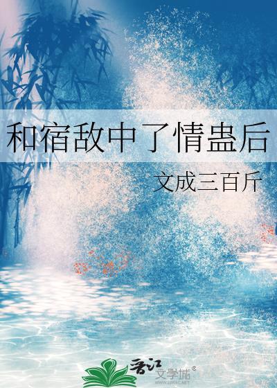 风月错歌曲